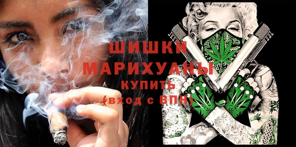 МДПВ Алзамай