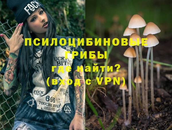 МДПВ Алзамай